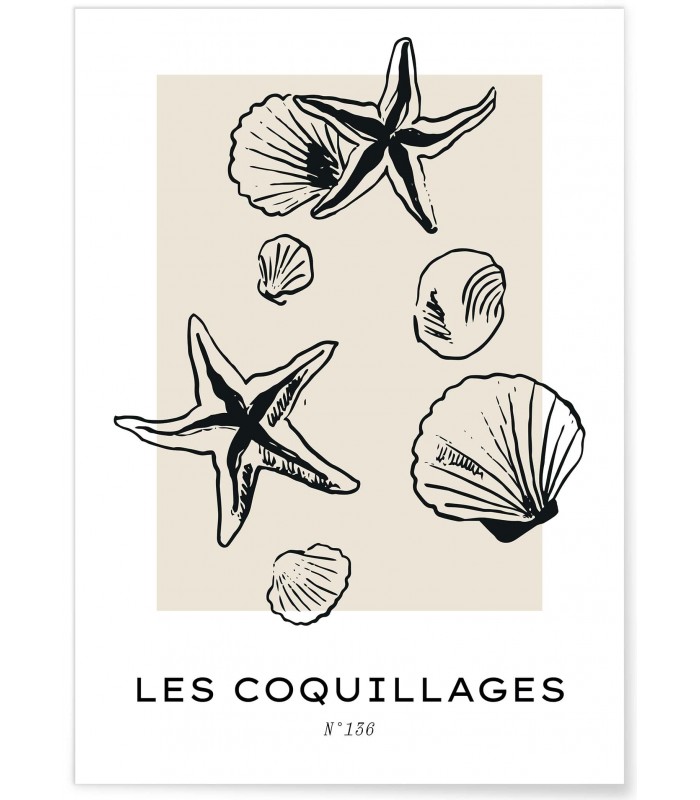 Affiche Les coquillages