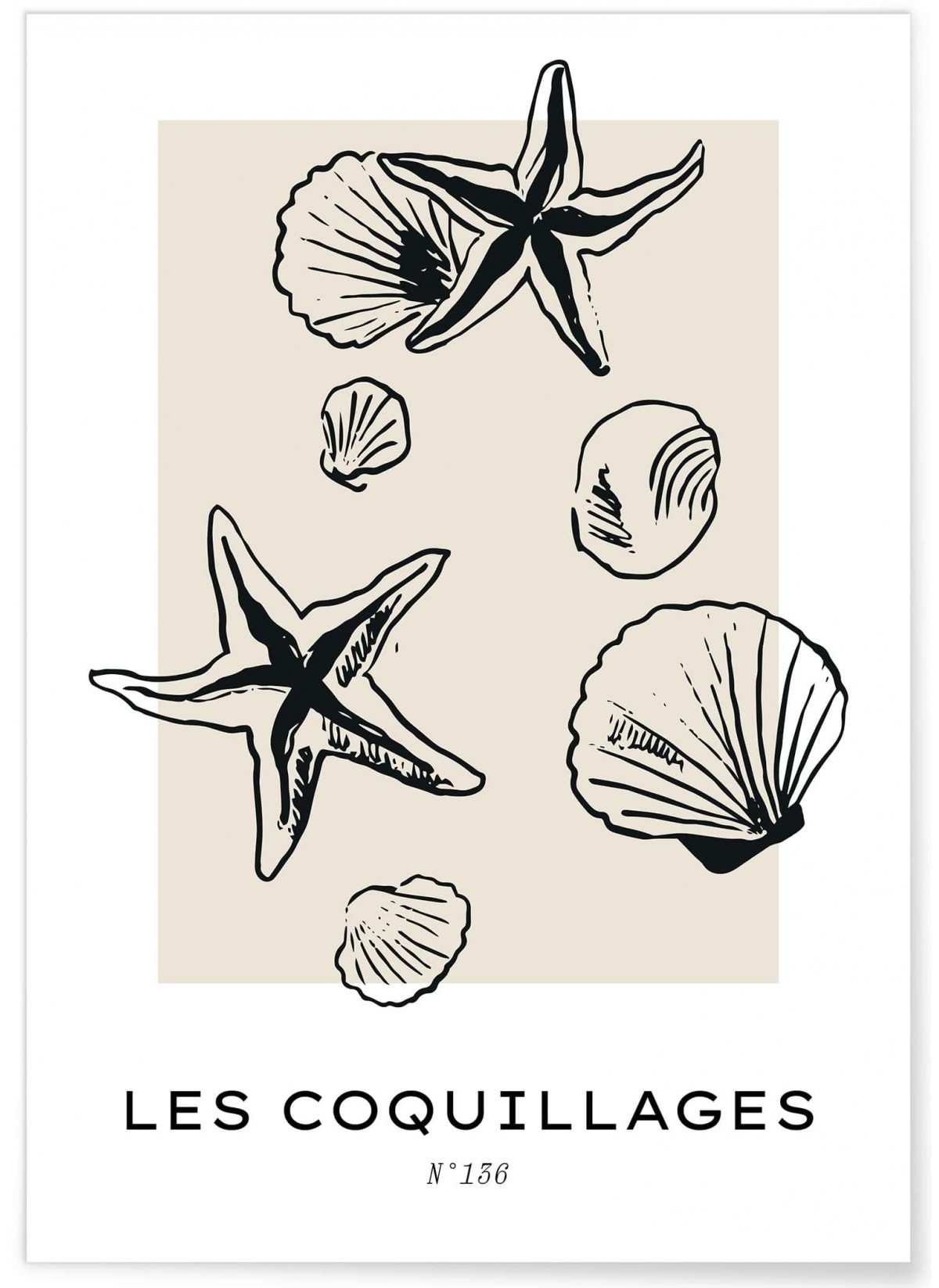 Affiche Les coquillages