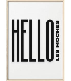 Affiche Hello les moches