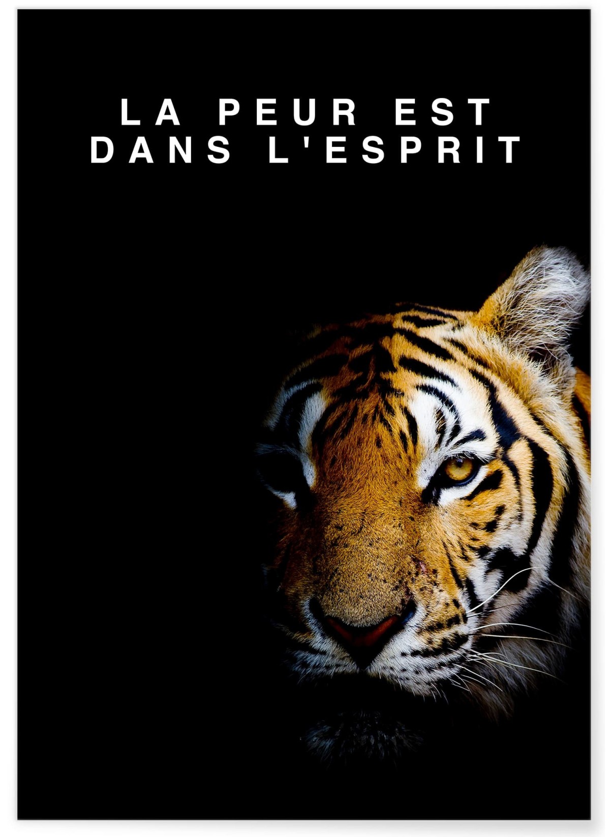 Affiche Motivation La Peur est dans l'Esprit