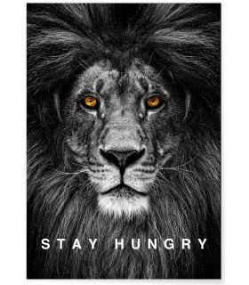 Affiche Motivation Stay Hungry