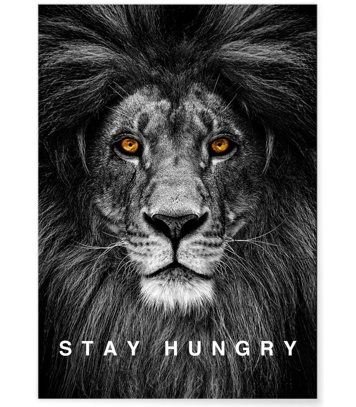 Affiche Motivation Stay Hungry