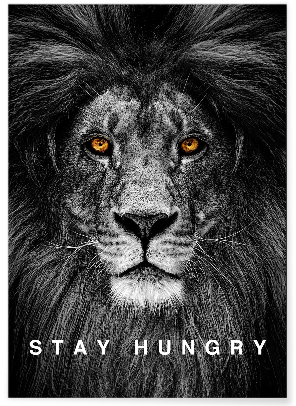 Affiche Motivation Stay Hungry