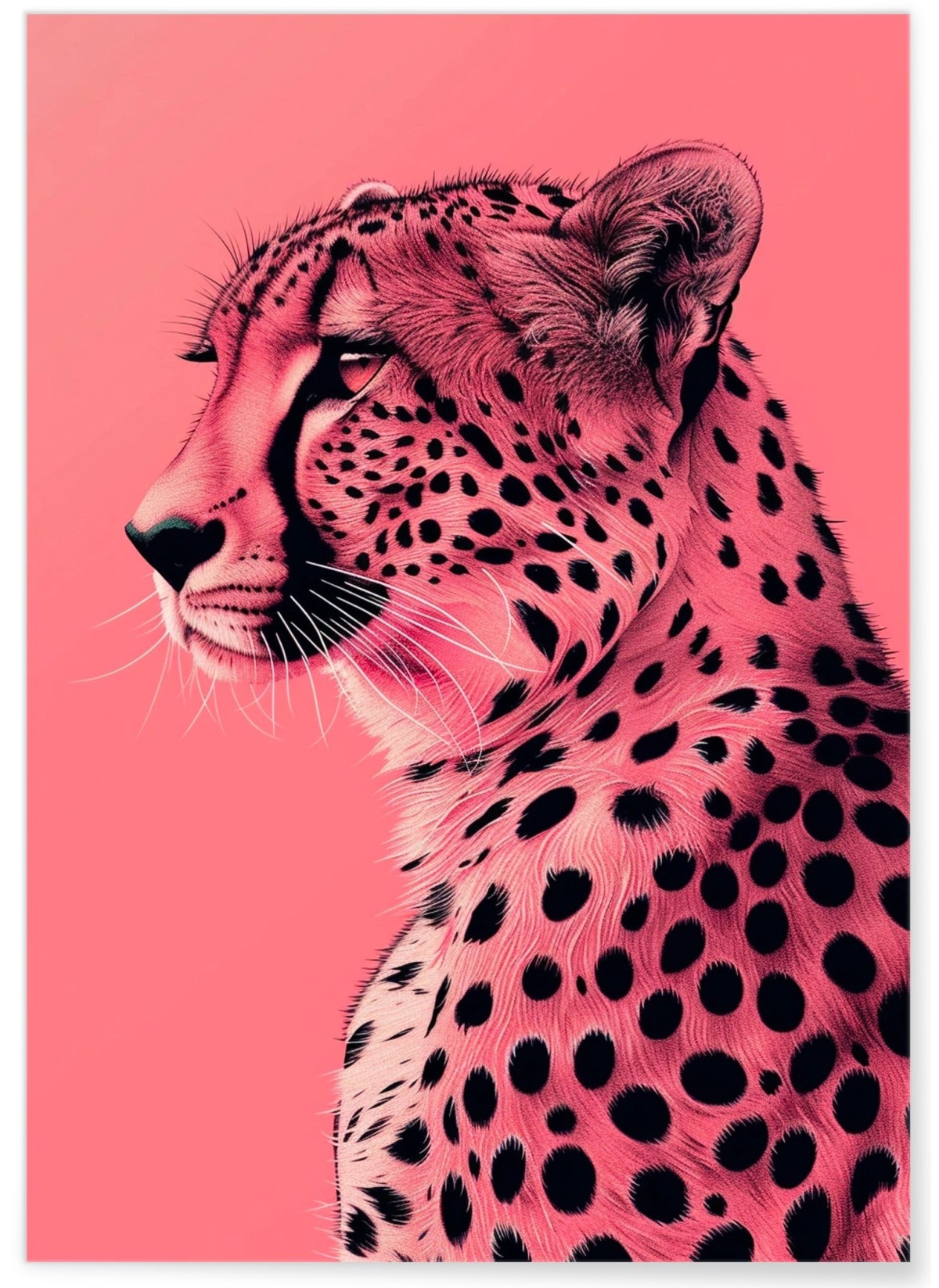 Affiche Guépard Pop Art