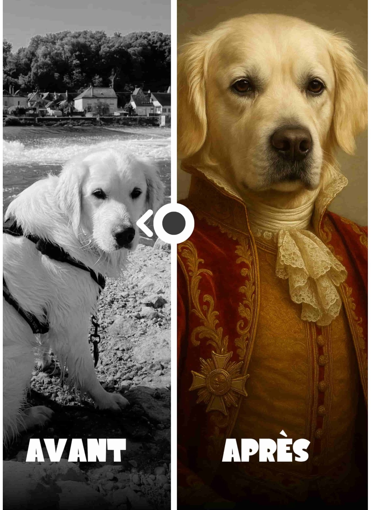 Affiche personnalisée chien royal – Portrait noble sur mesure | LAFFICHERIE