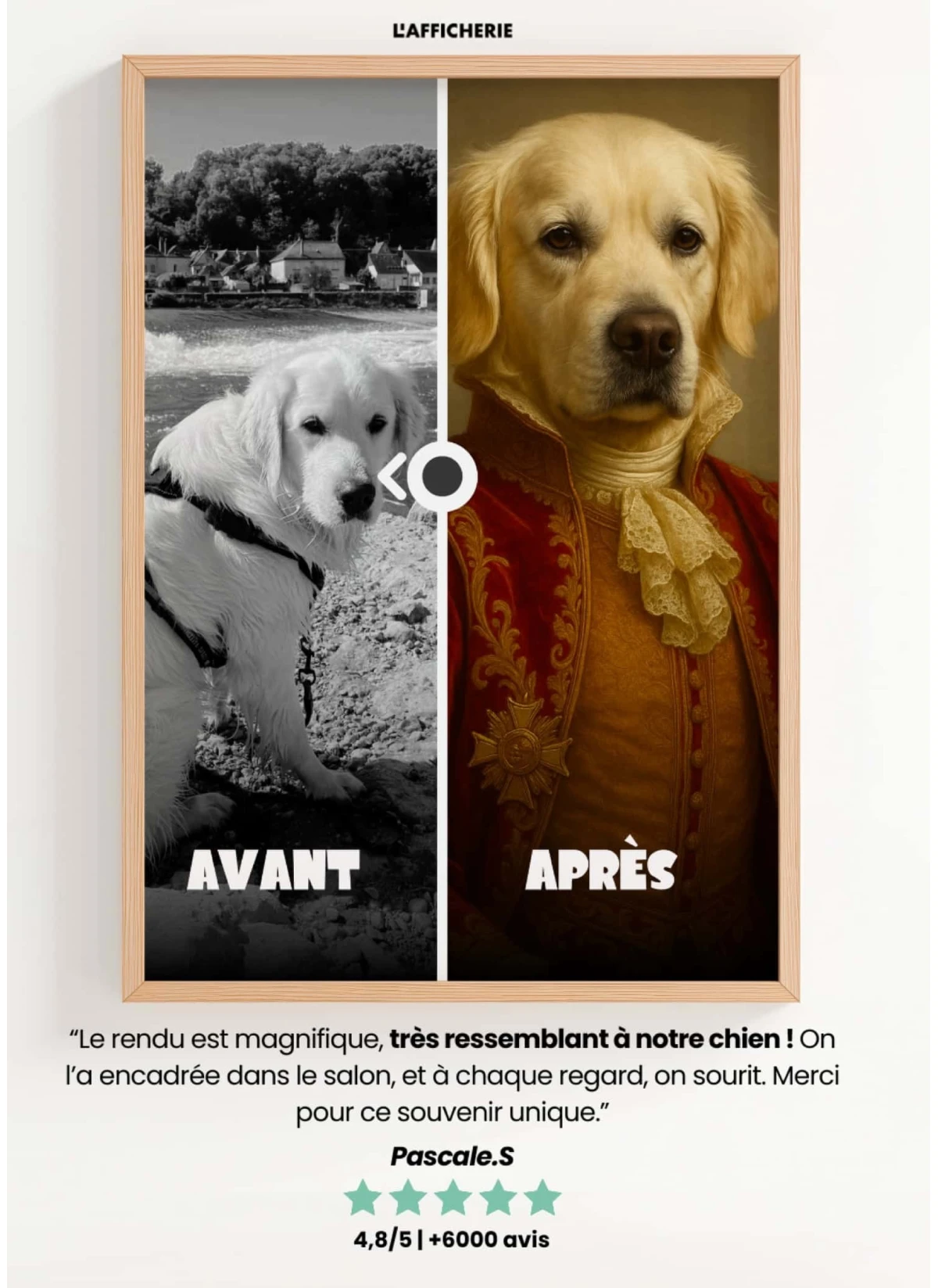 Affiche personnalisée chien royal – Portrait noble sur mesure | LAFFICHERIE