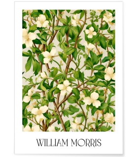 Affiche William Morris n°13