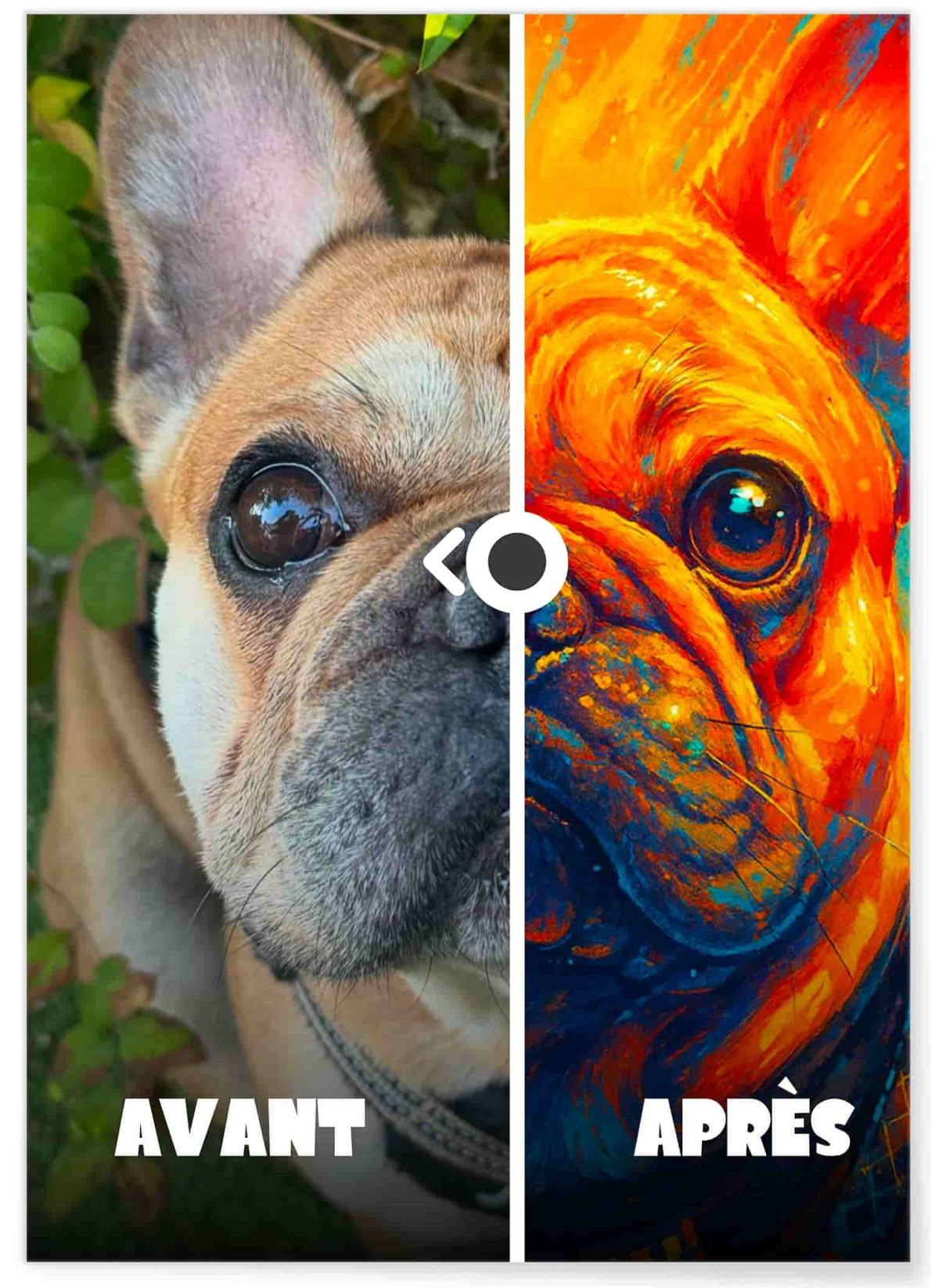 Affiche Portrait d'animaux style pop art | L'AFFICHERIE