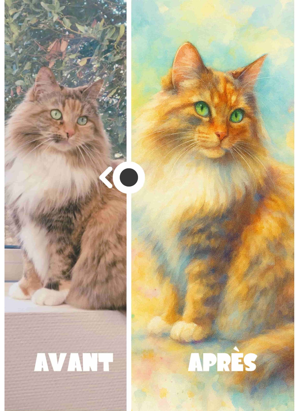 Transformez la photo de votre animal en peinture aquarelle & huile | L’AFFICHERIE