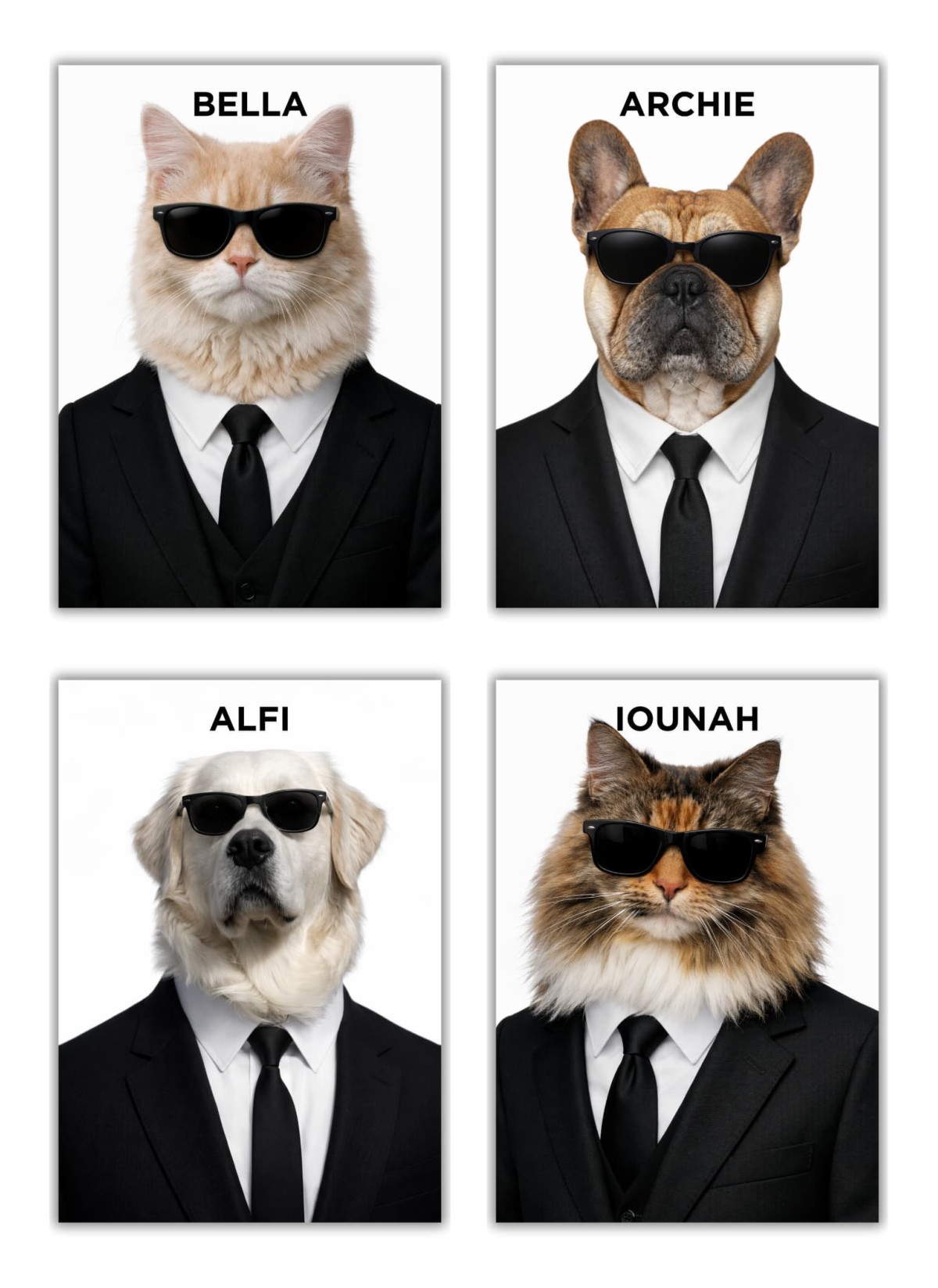 Affiche animaux style agent secret