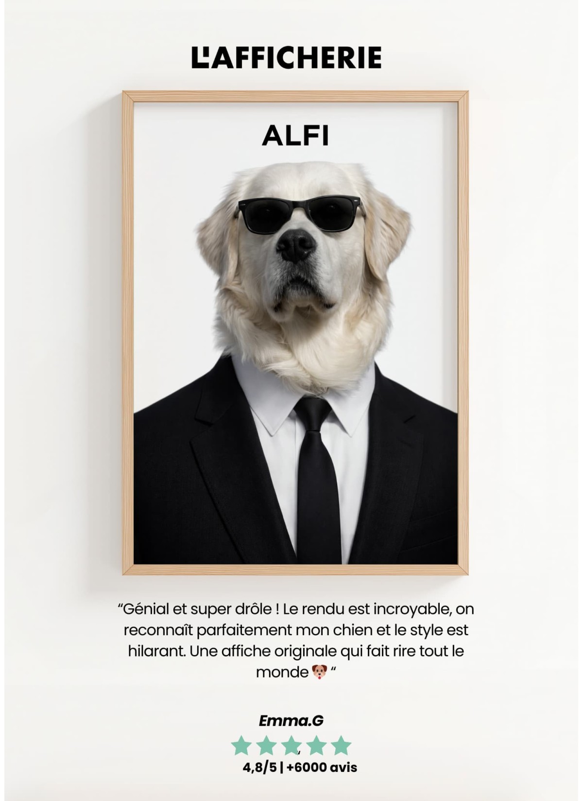 Affiche animaux style agent secret