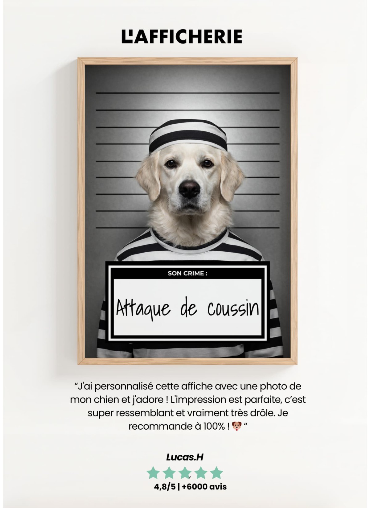 Affiche animaux style prisonnier