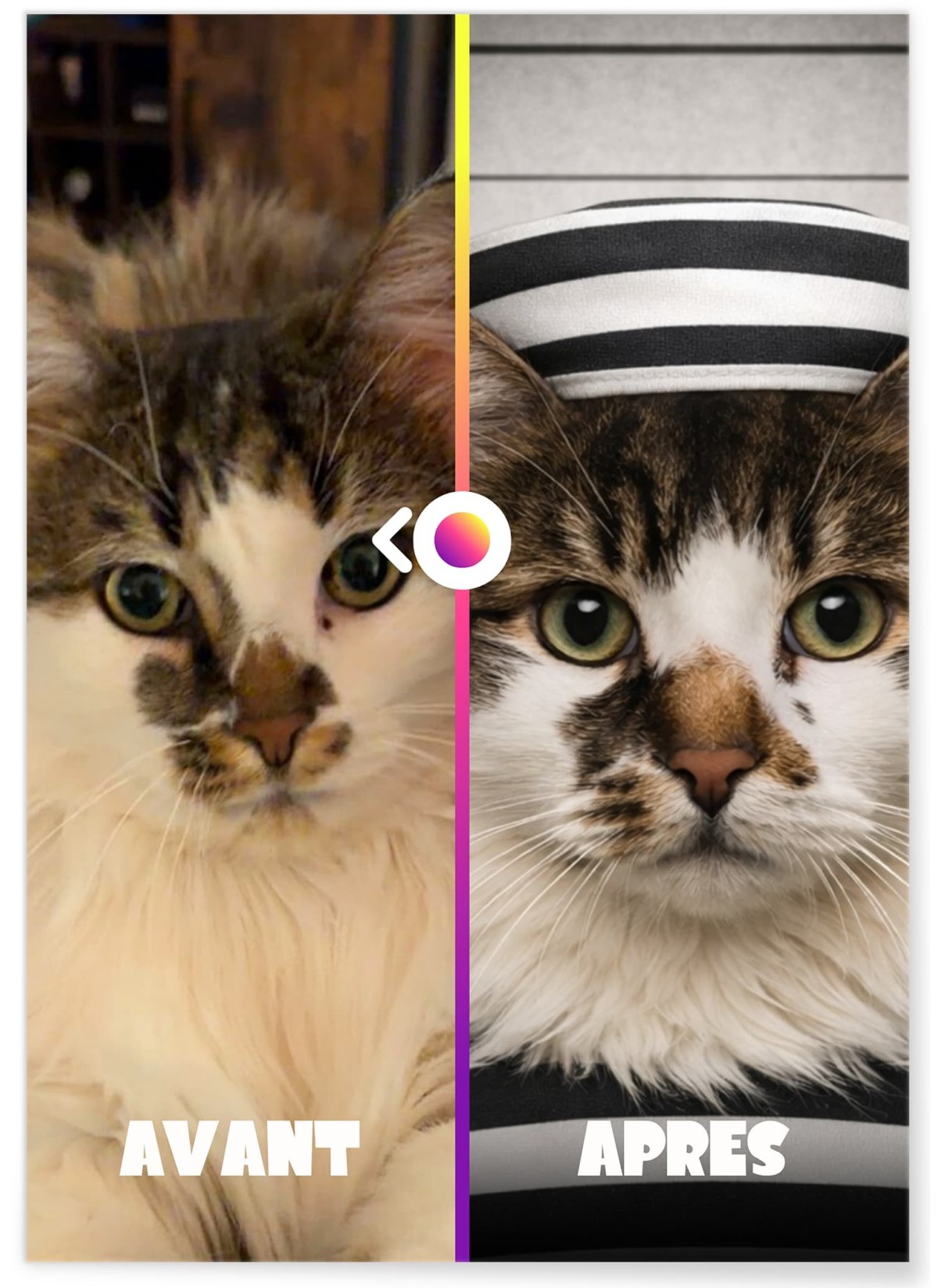 Affiche animaux style prisonnier