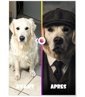 Affiche animaux style gangster