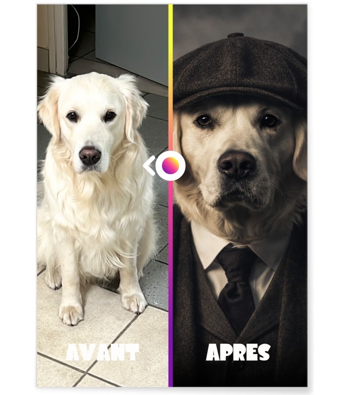 Affiche animaux style gangster