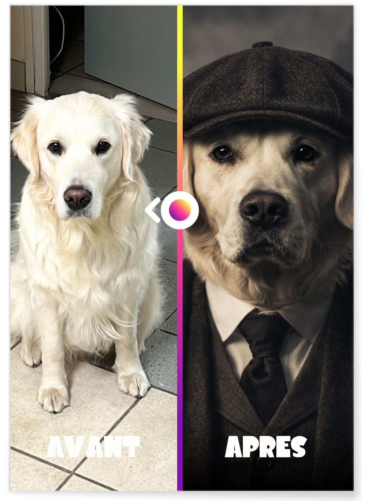 Affiche animaux style gangster