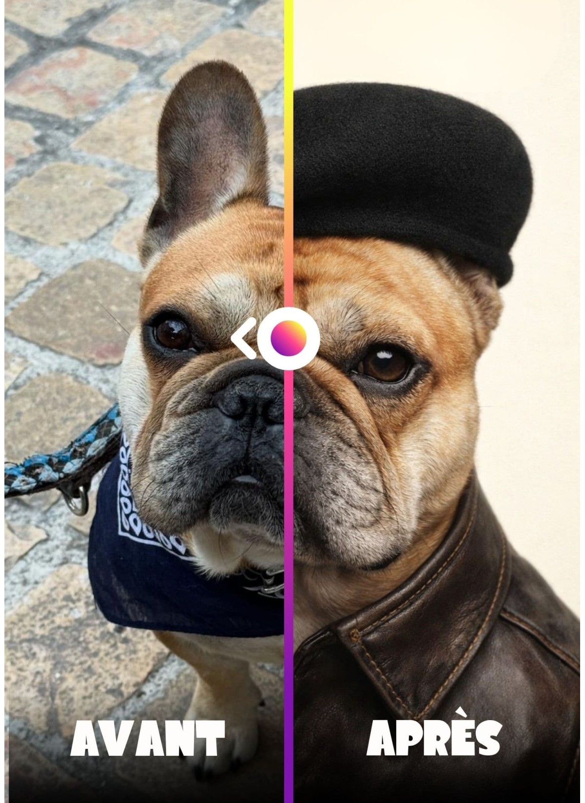 Affiche animaux style magazine de mode (mâle)