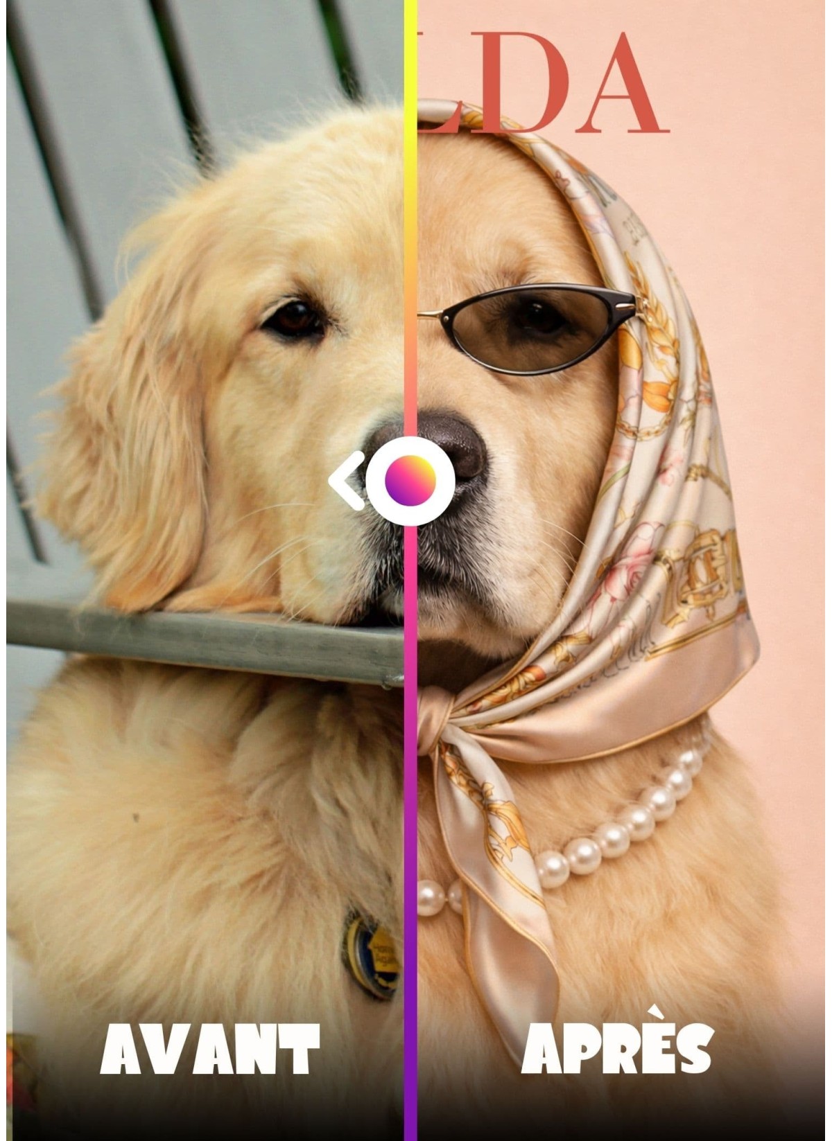 Affiche animaux style magazine de mode (femelle)