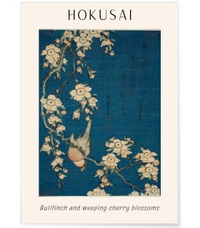 Affiche Hokusai "Bullfinch and weeping cherry blossoms"