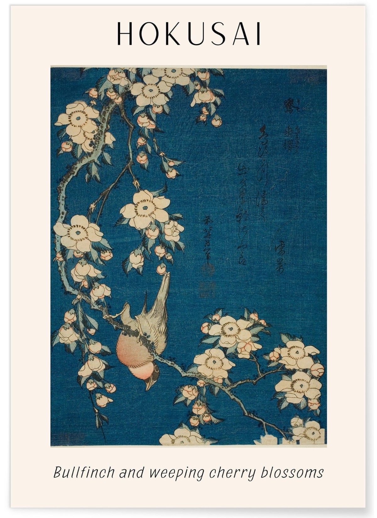 Affiche Hokusai "Bullfinch and weeping cherry blossoms"