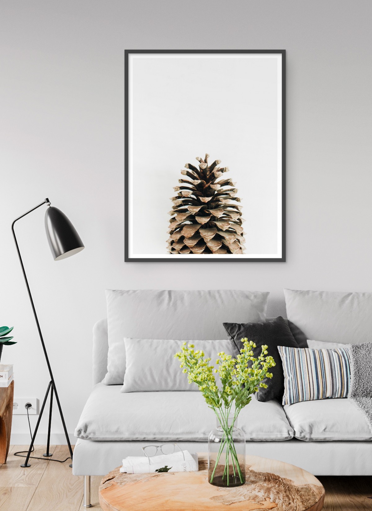 Affiche Pomme de pin