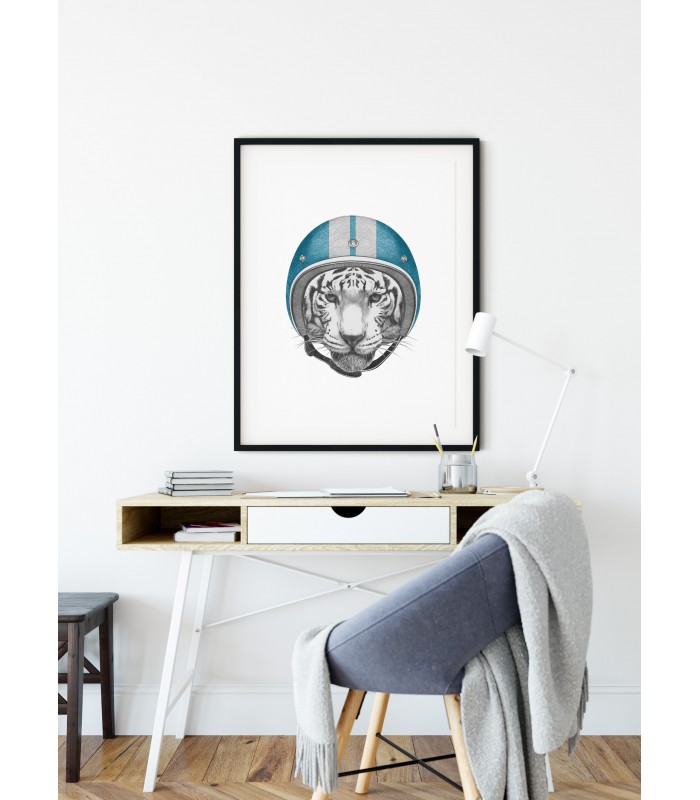 Poster Tigre blanc