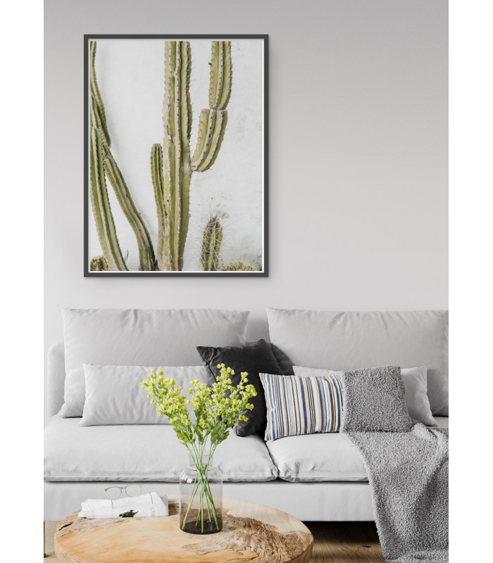 Affiche nature Cactus