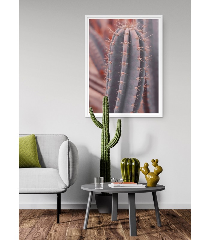 Affiche Cactus Saguaro