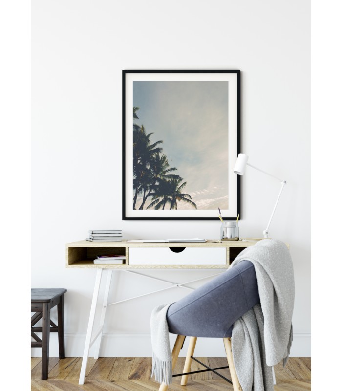 Affiche nature Palmiers Tropicaux