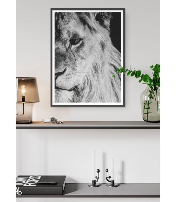 Poster Lion noir et blanc 1