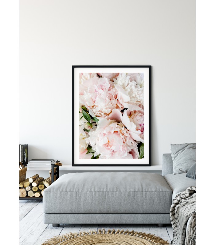 Affiche Nature Pivoine Rose