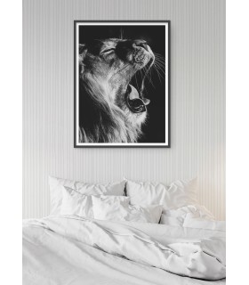 Poster Lion noir et blanc 2
