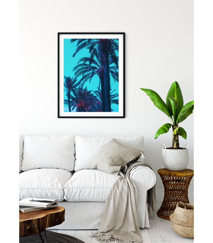 Affiche Palm Trees