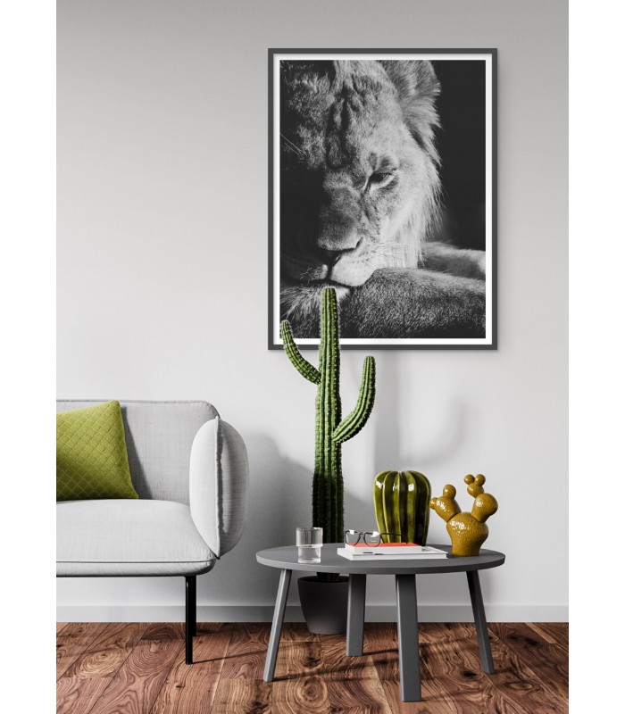 Poster Lion noir et blanc 3