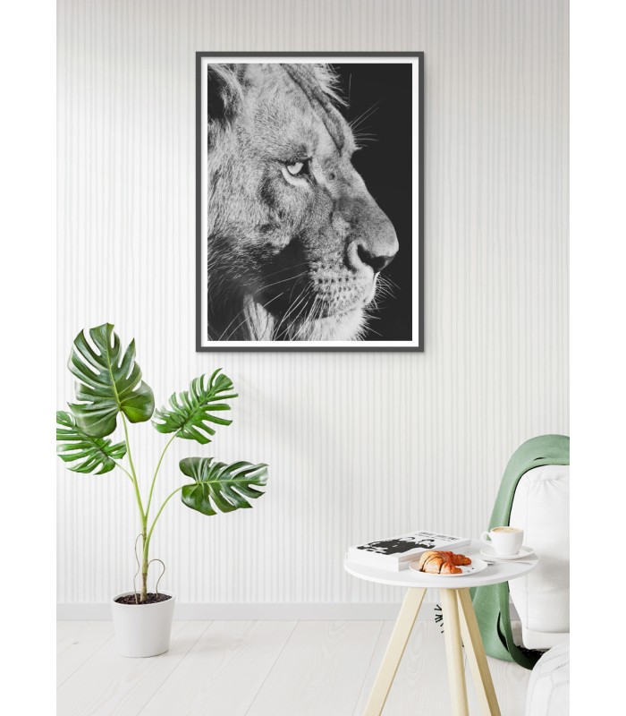 Poster Lion noir et blanc 4