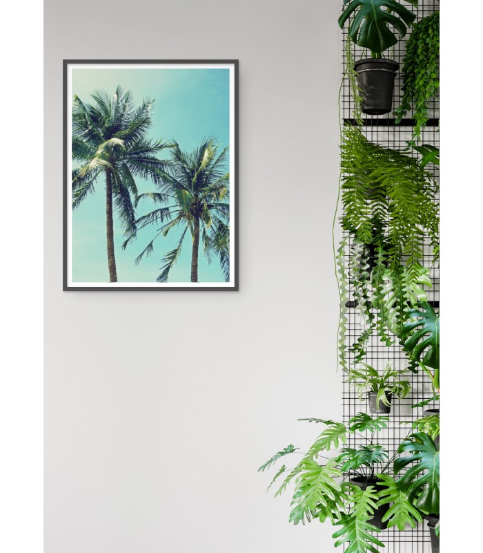 Affiche Palm Trees 2