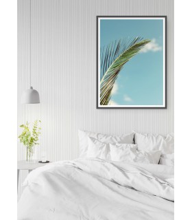 Affiche Palm Trees 3