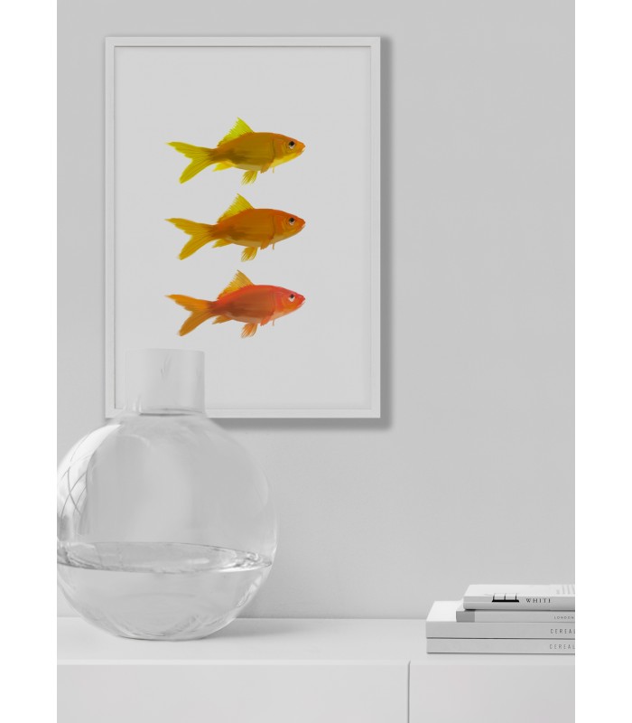 Affiche Fish