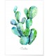 Poster Cactus aquarelle