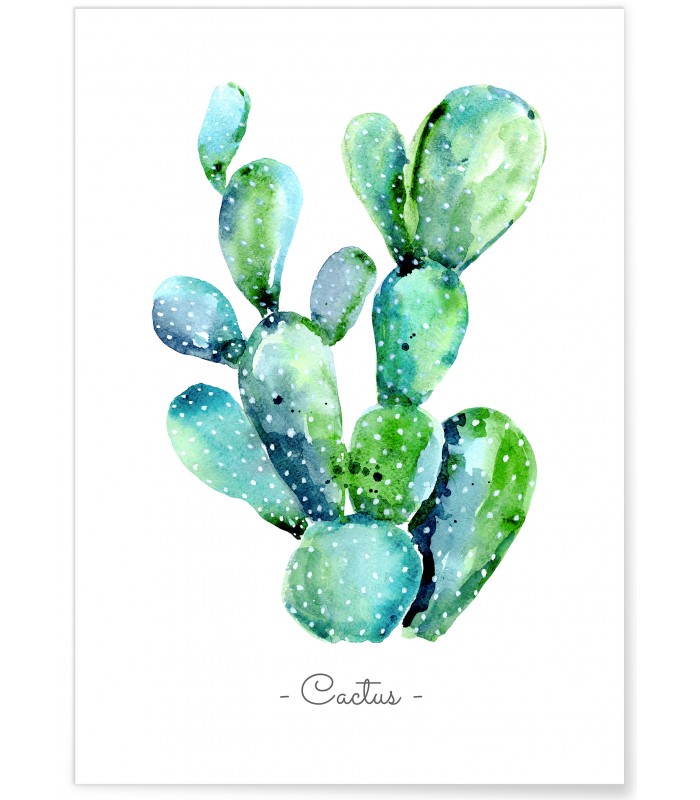 Poster Cactus aquarelle