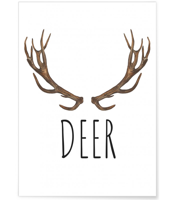 Affiche DEER