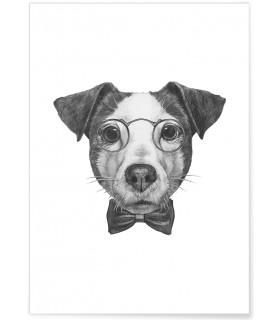 Poster Jack Russell