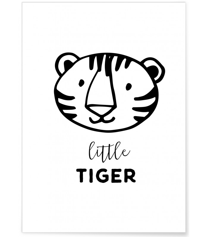 Affiche Petit tigre