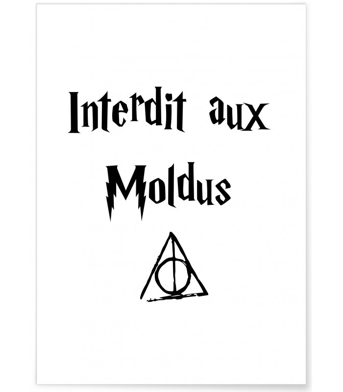 Affiche Interdit aux Moldus