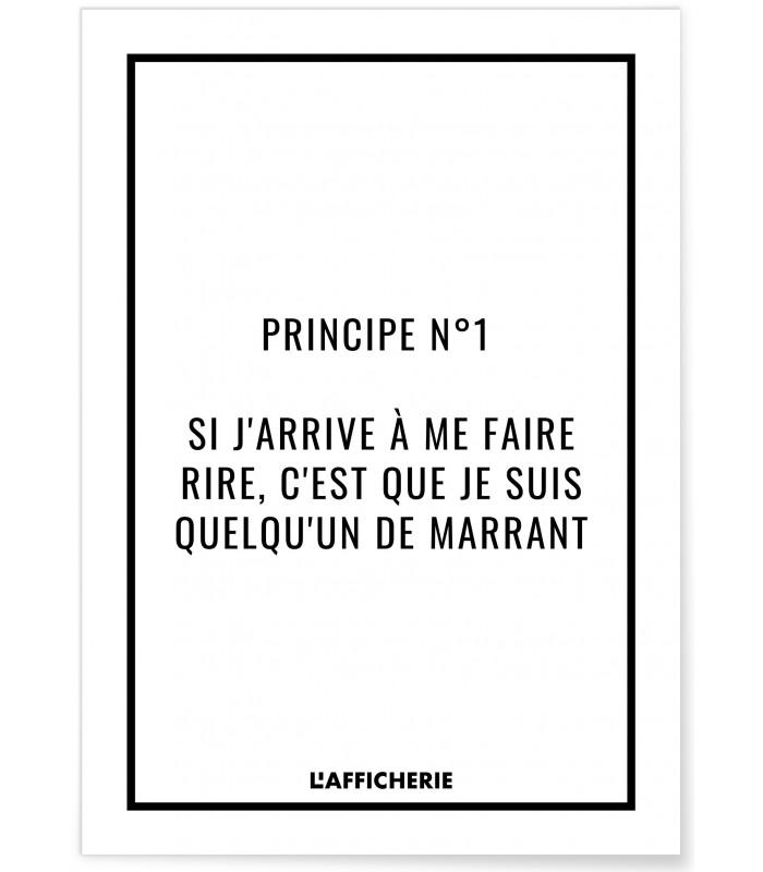 Affiche Principe n1