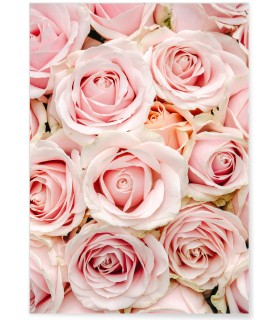 Affiche Nature Roses