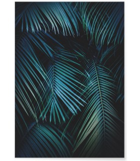 Affiche Feuilles de palmier tropical verte