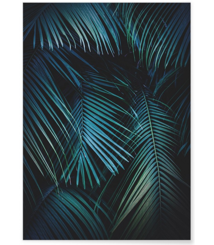 Affiche Feuilles de palmier tropical verte