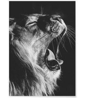 Poster Lion noir et blanc 2
