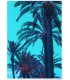 Affiche Palm Trees